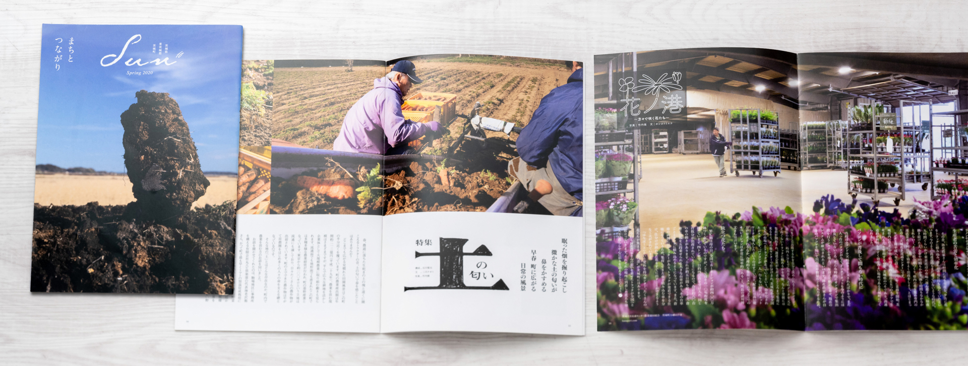 SUN第10号春号2020